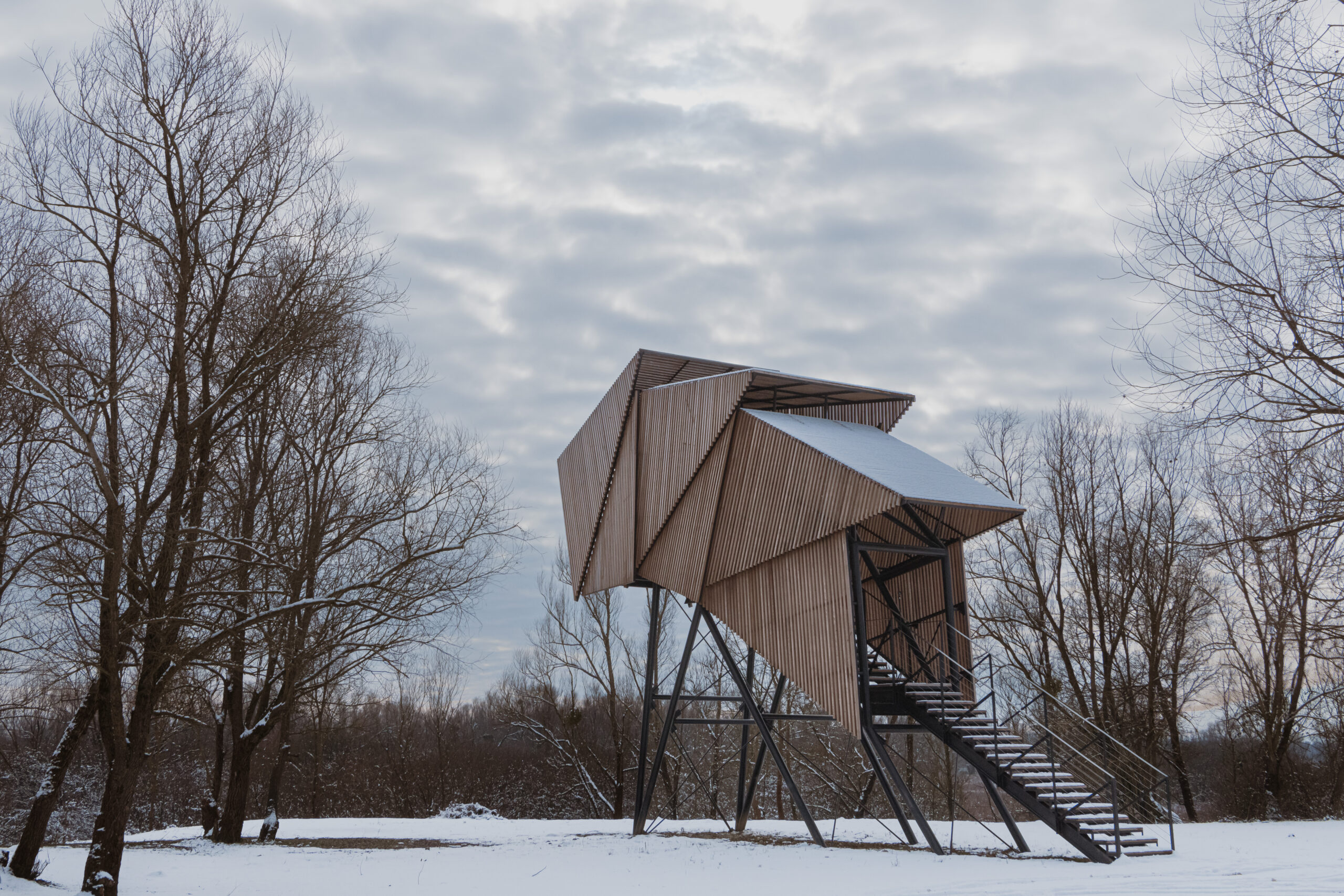 Lonjsko polje zimi: ideje za miran bijeg u prirodu