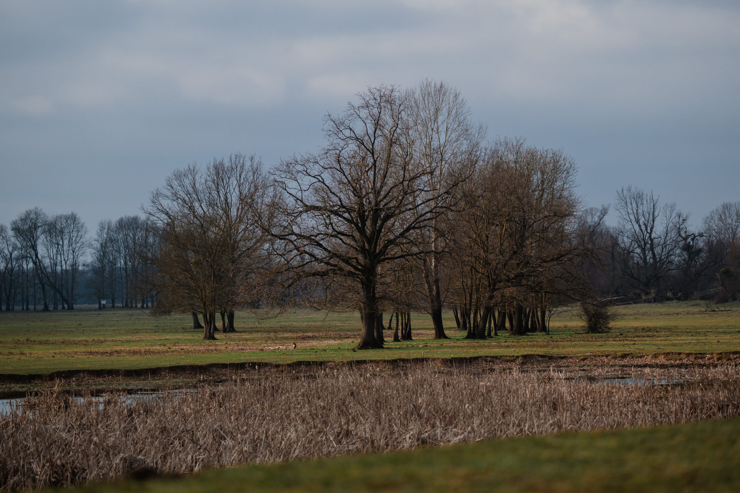 Obilježen Dan vlažnih staništa u Parku prirode Lonjsko polje